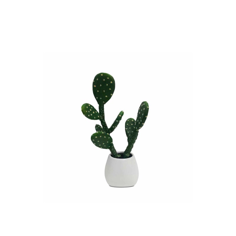 Cactus Lyris - Verde y Blanco