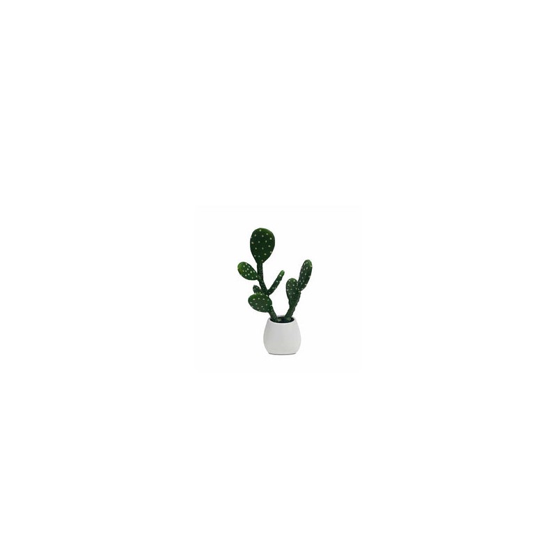 Cactus Lyris - Verde y Blanco