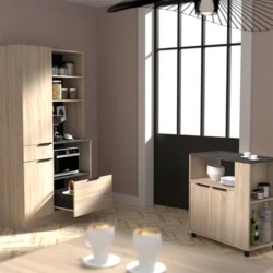 Alacena Amy - Roble y Negro