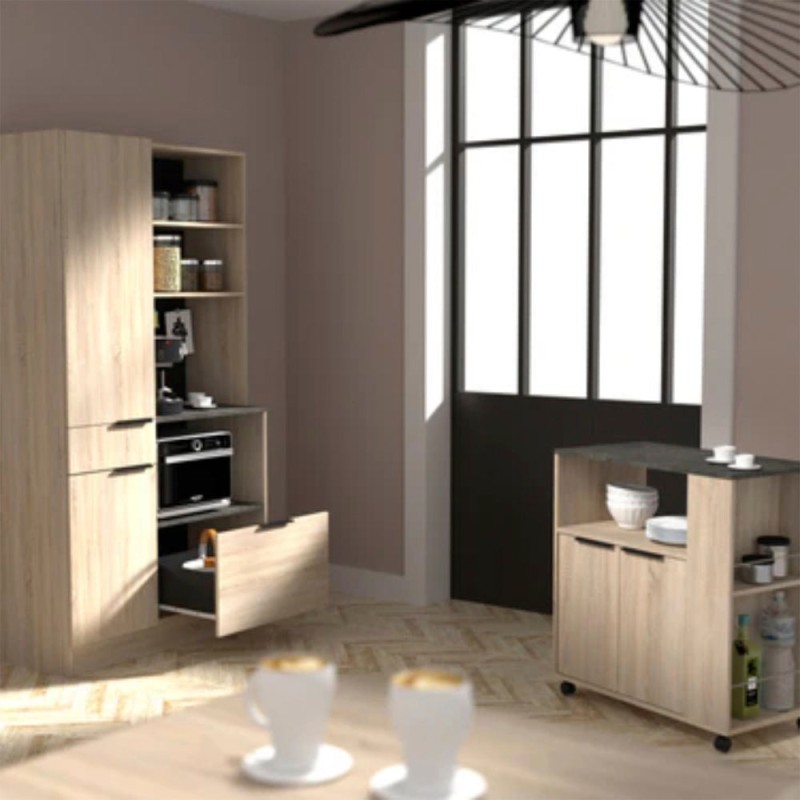 Alacena Amy - Roble y Negro