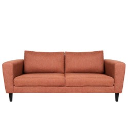 Sofá de 2 plazas Smart Shedron