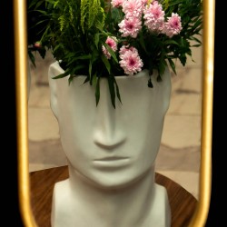 Cactus Lyris - Verde y Blanco