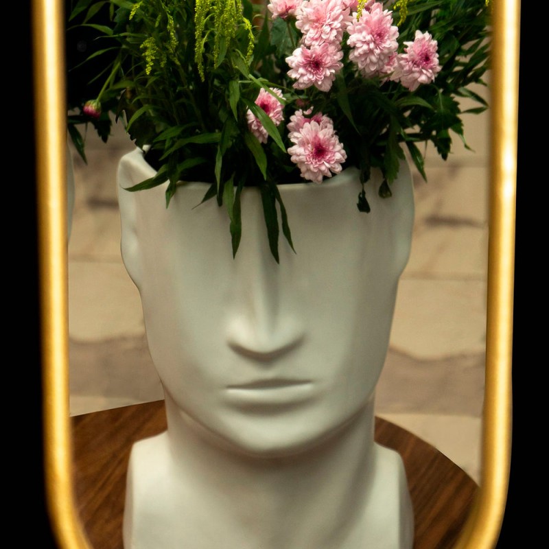 Cactus Lyris - Verde y Blanco