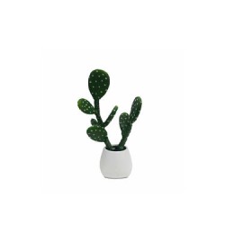 Cactus Lyris - Verde y Blanco